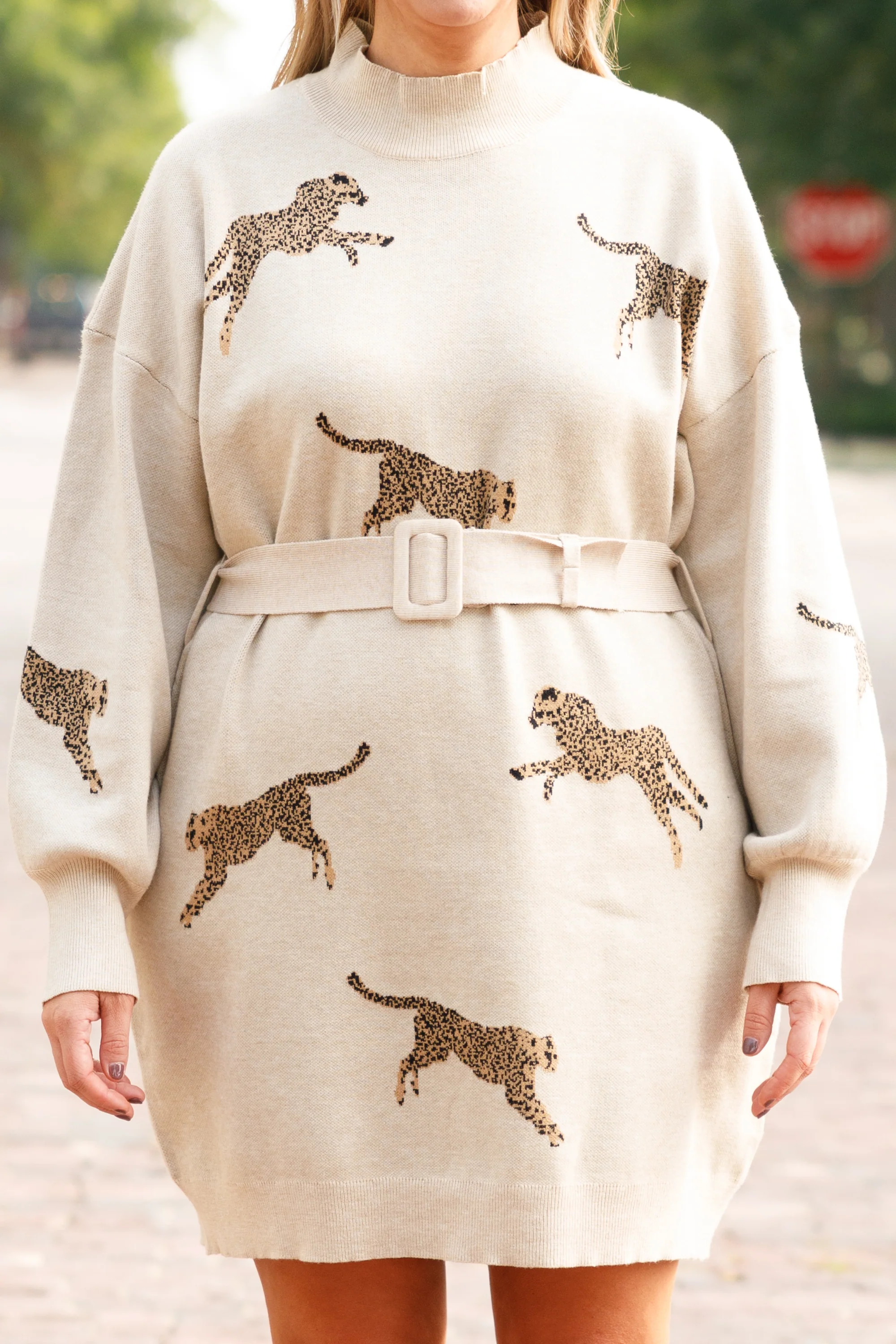 So Fierce Sweater Dress, Oatmeal - Giverhouse