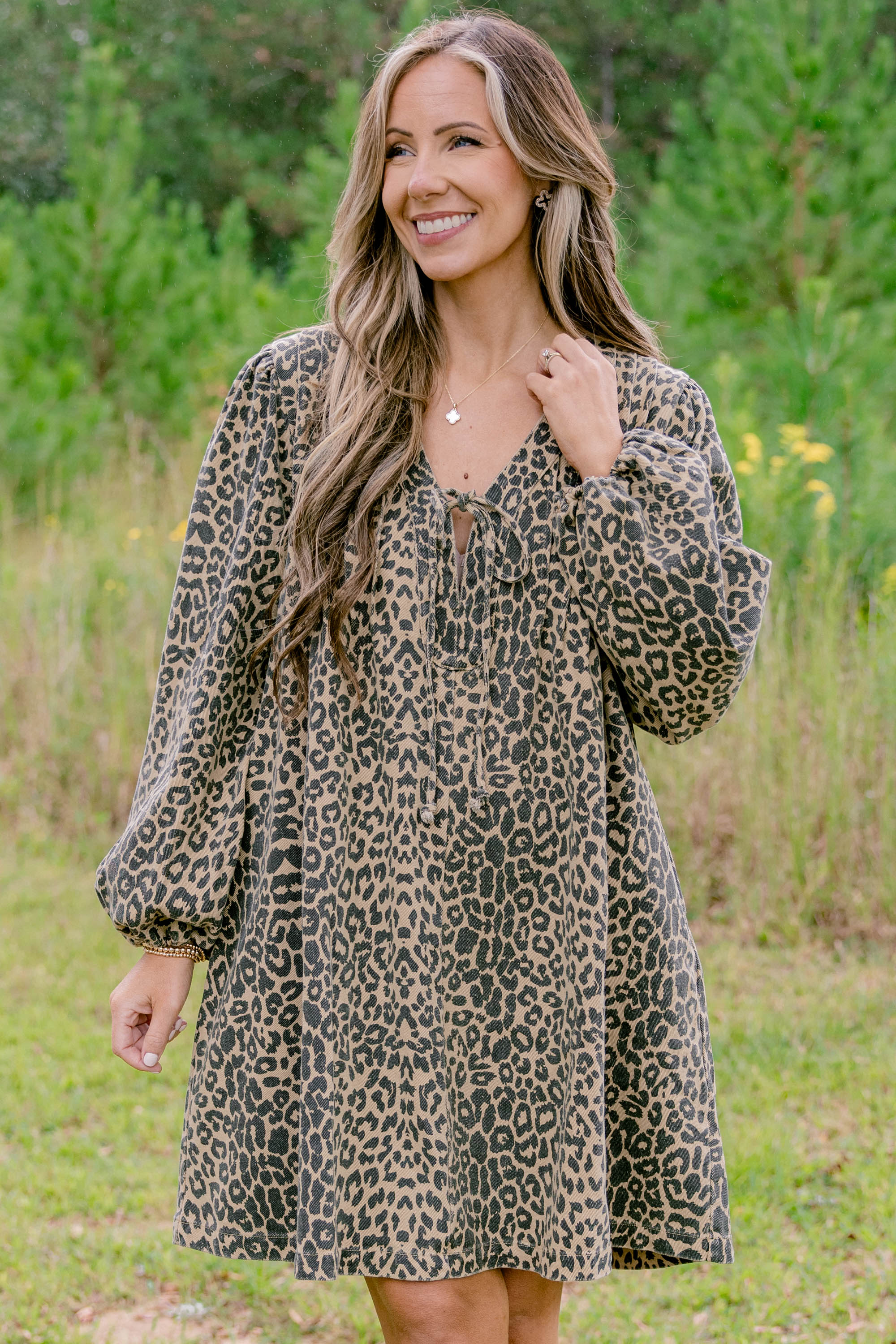 Daytime Fine Dress, Brown - Giverhouse