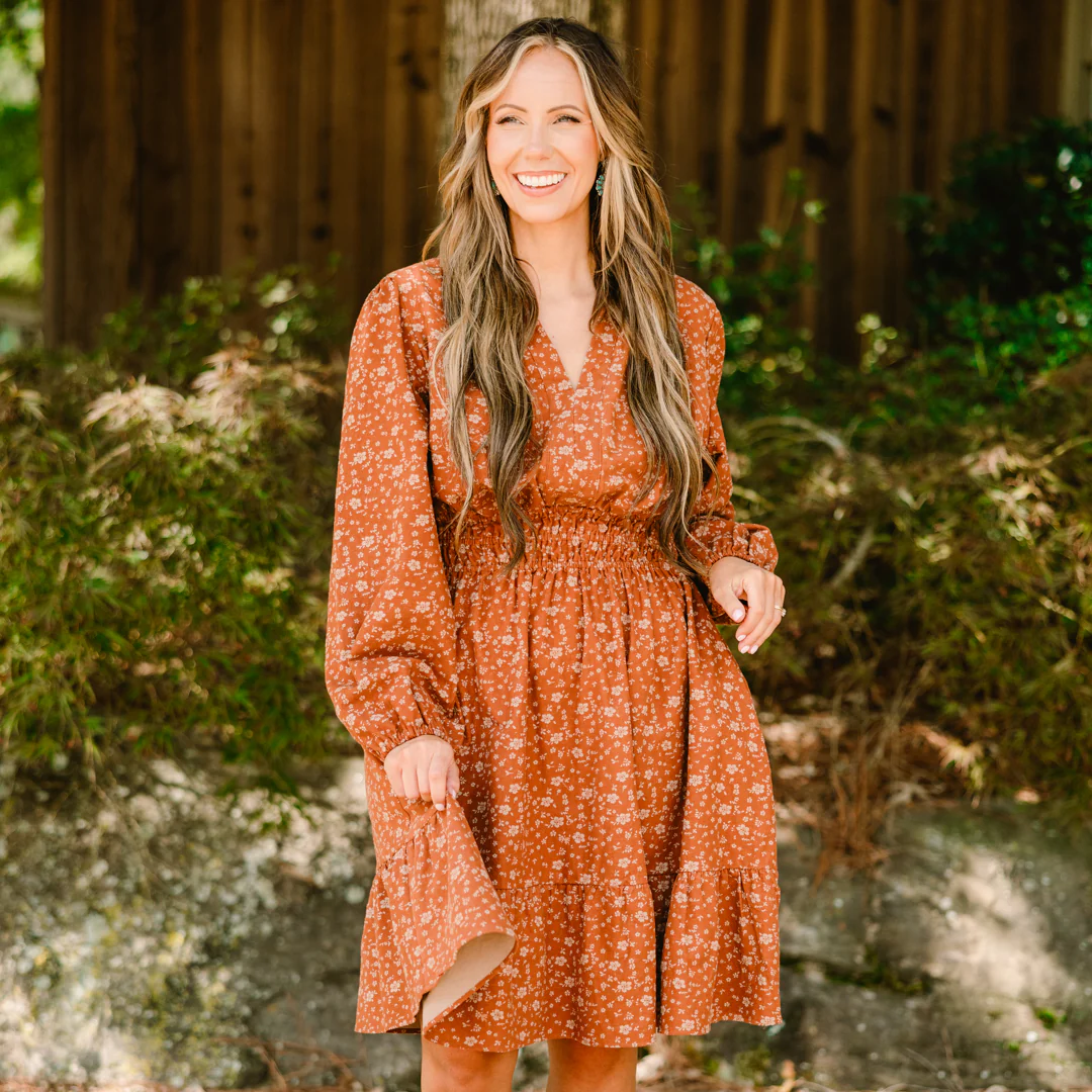 For The Fun Of It Dress, Rust - Giverhouse