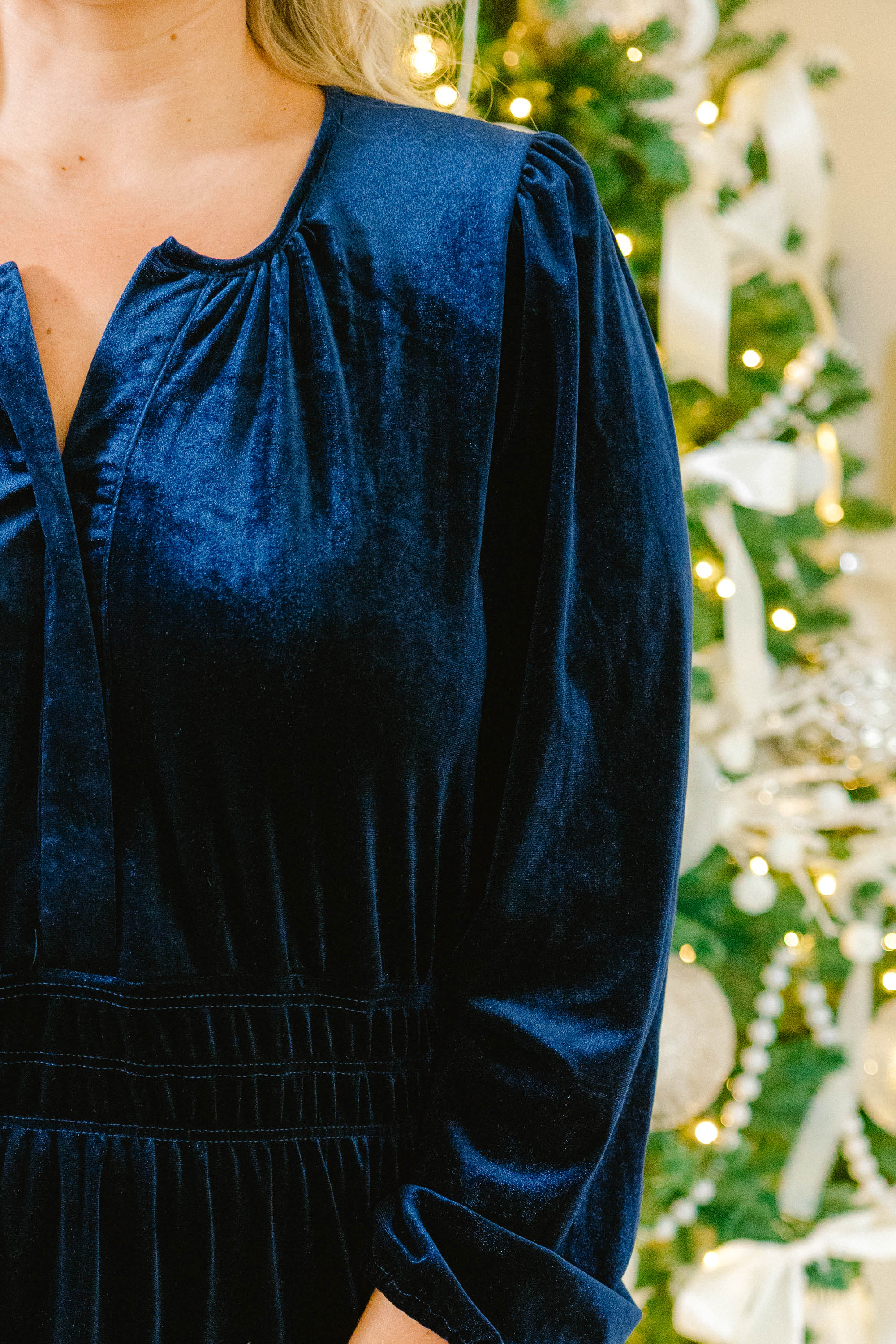 Velvet Vine Dress, Blue - Giverhouse